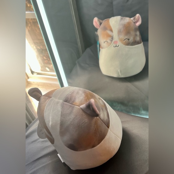 Original Squishmallows Pax the Guinea Pig NWT - Picture 2 of 7